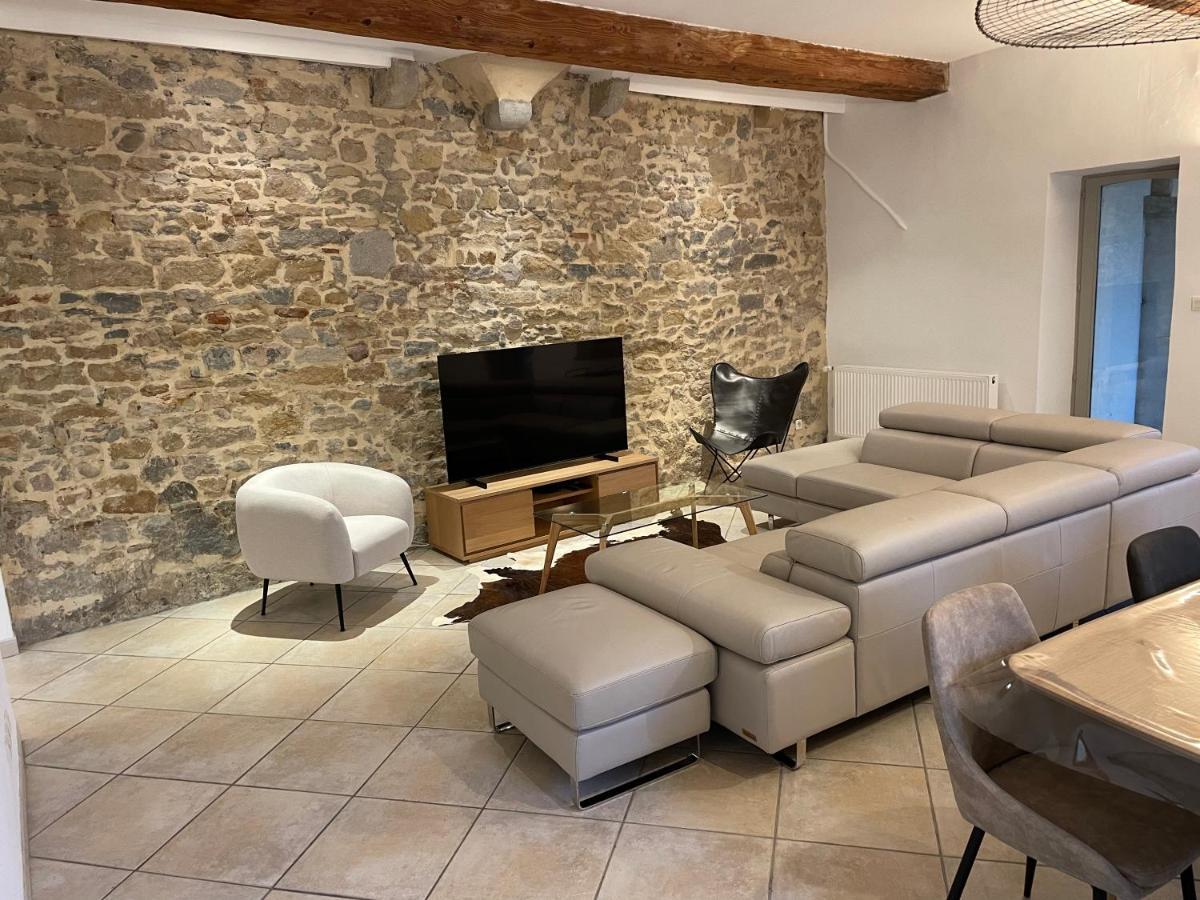 Beau Duplex Avec Jardin Et Vue Lejlighed Lyon Eksteriør billede