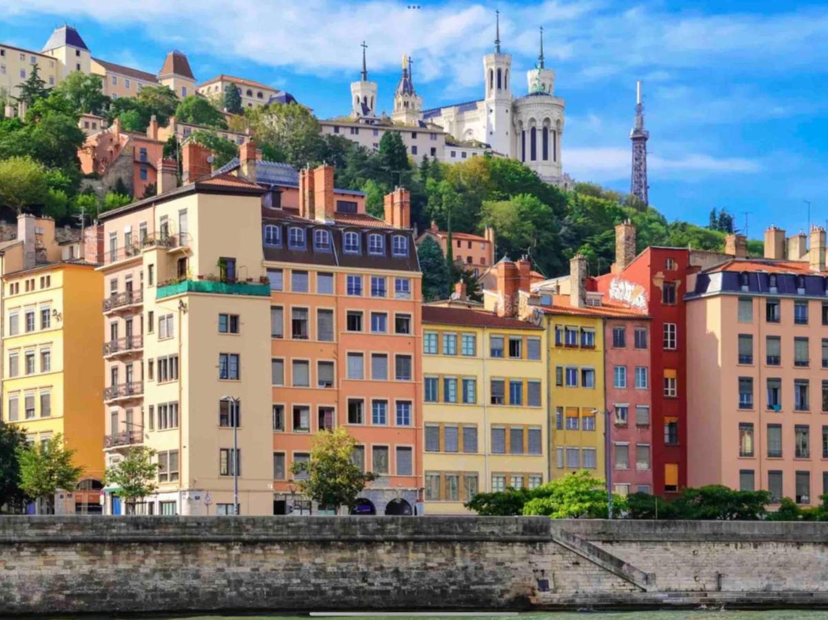 Beau Duplex Avec Jardin Et Vue Lejlighed Lyon Eksteriør billede